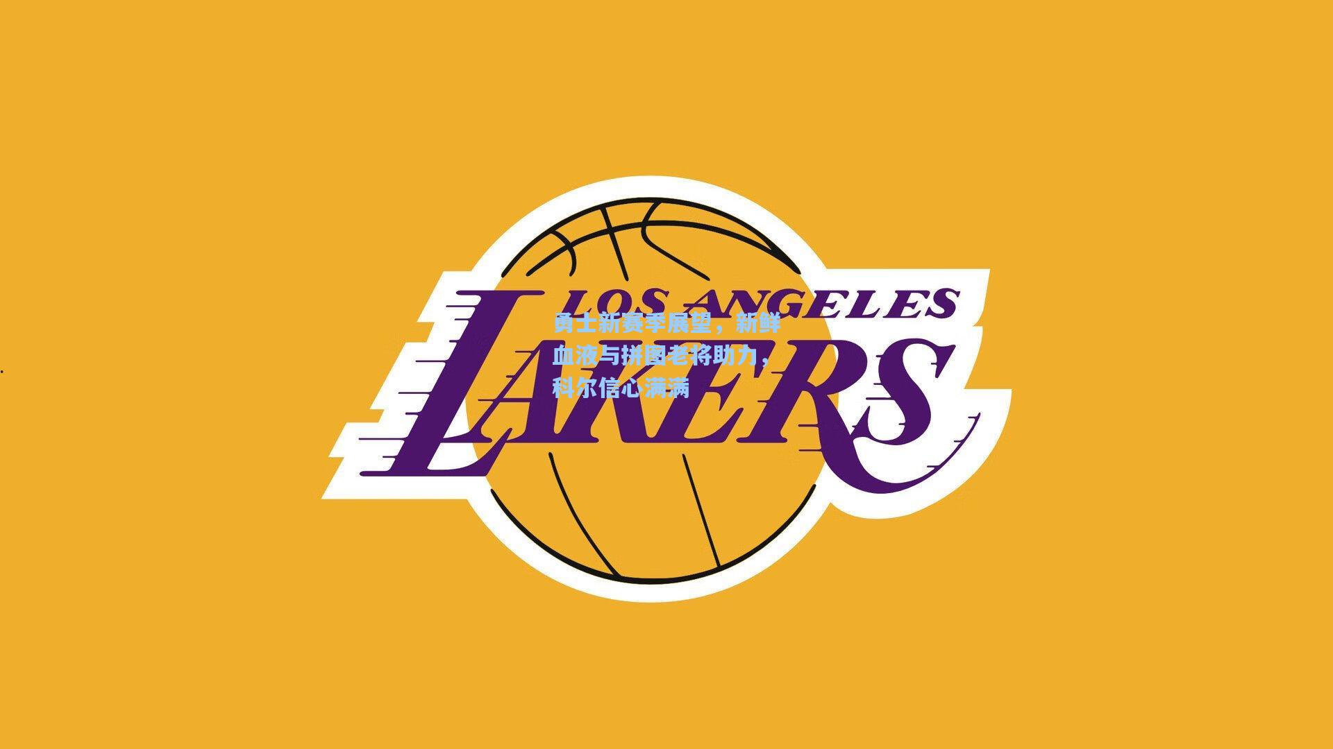 勇士新赛季展望,新鲜血液与拼图老将助力,科尔信心满满