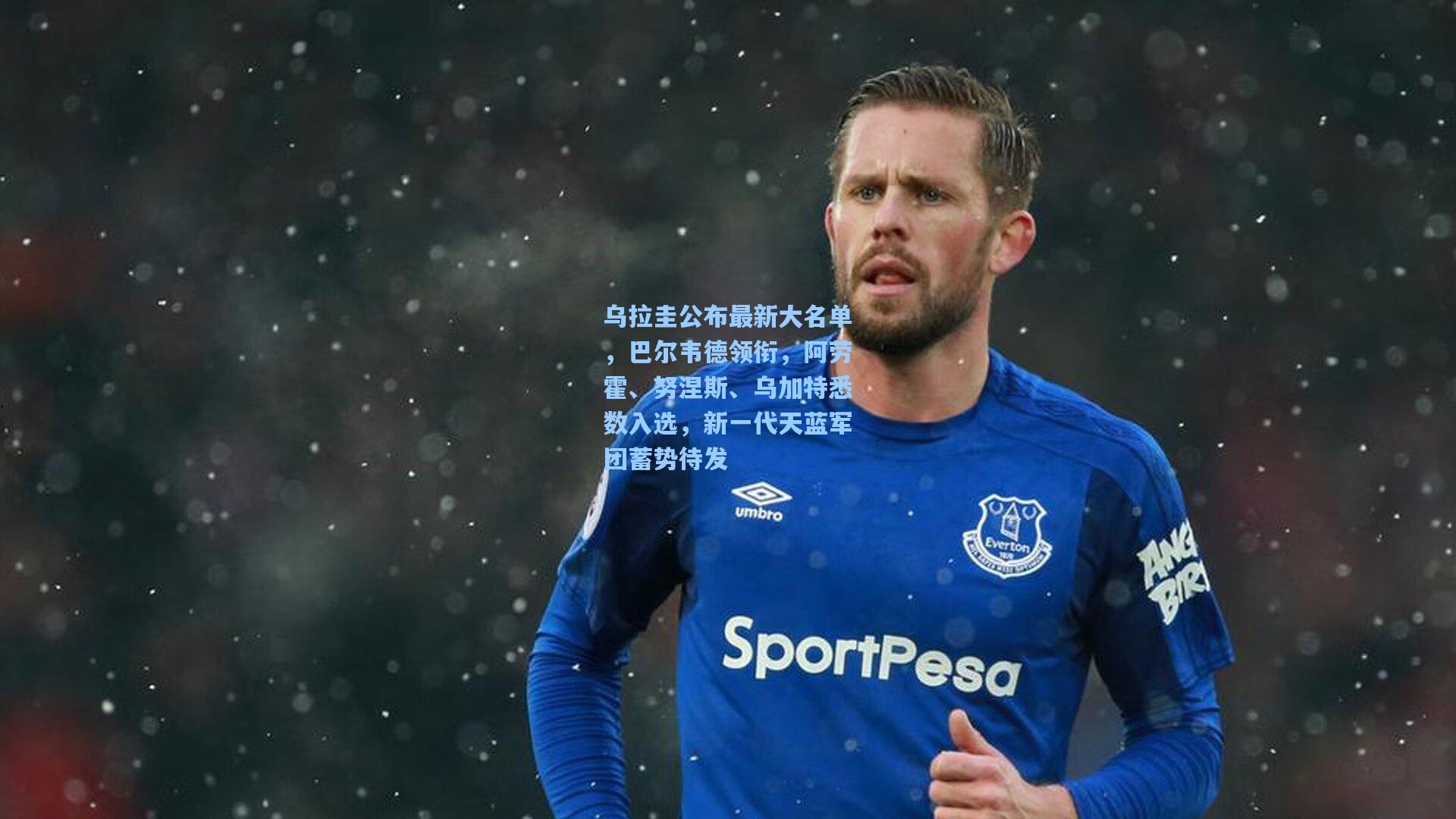 乌拉圭公布最新大名单,巴尔韦德领衔,阿劳霍、努涅斯、乌加特悉数入选,新一代天蓝军团蓄势待发