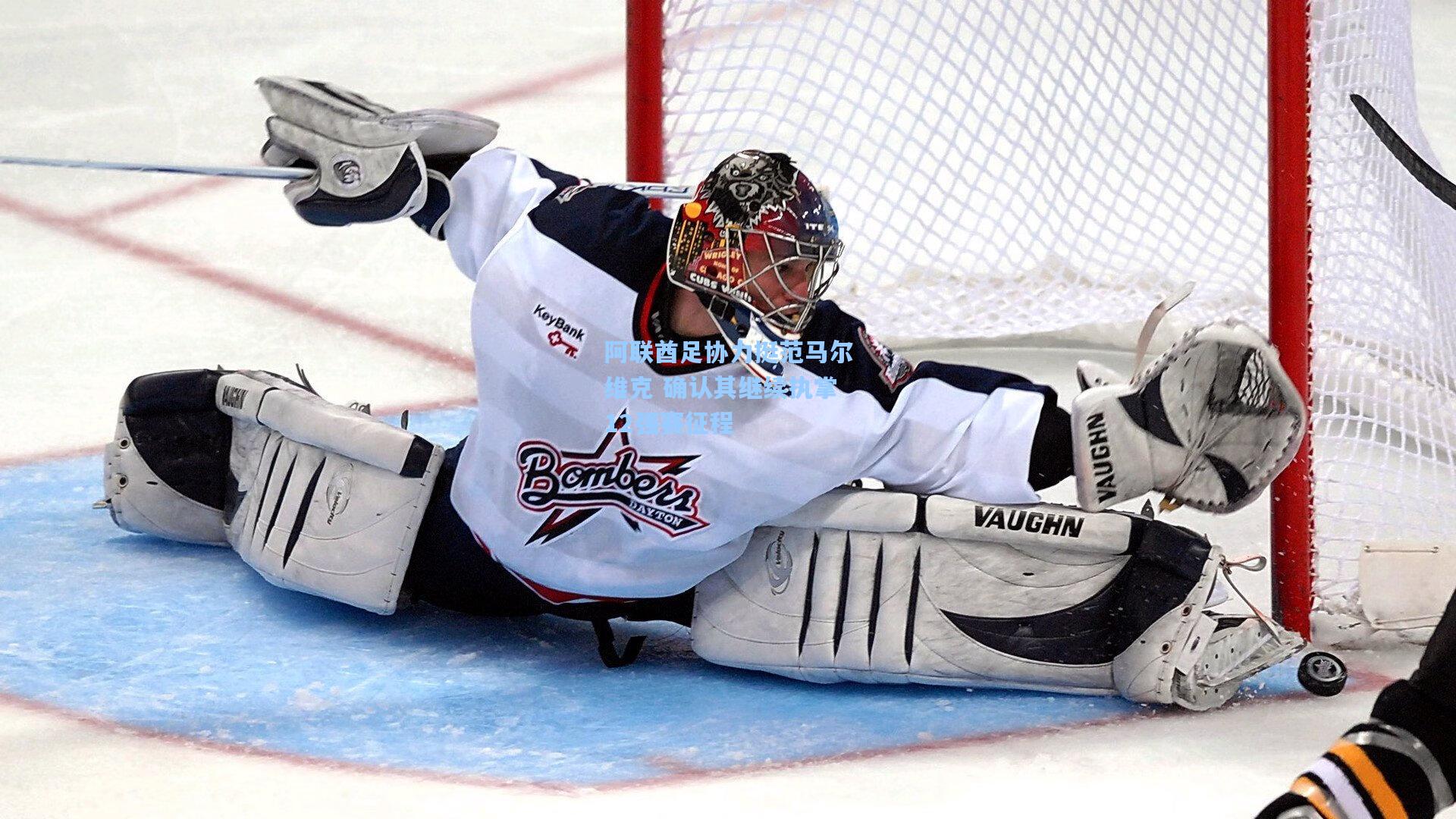 阿联酋足协力挺范马尔维克 确认其继续执掌12强赛征程